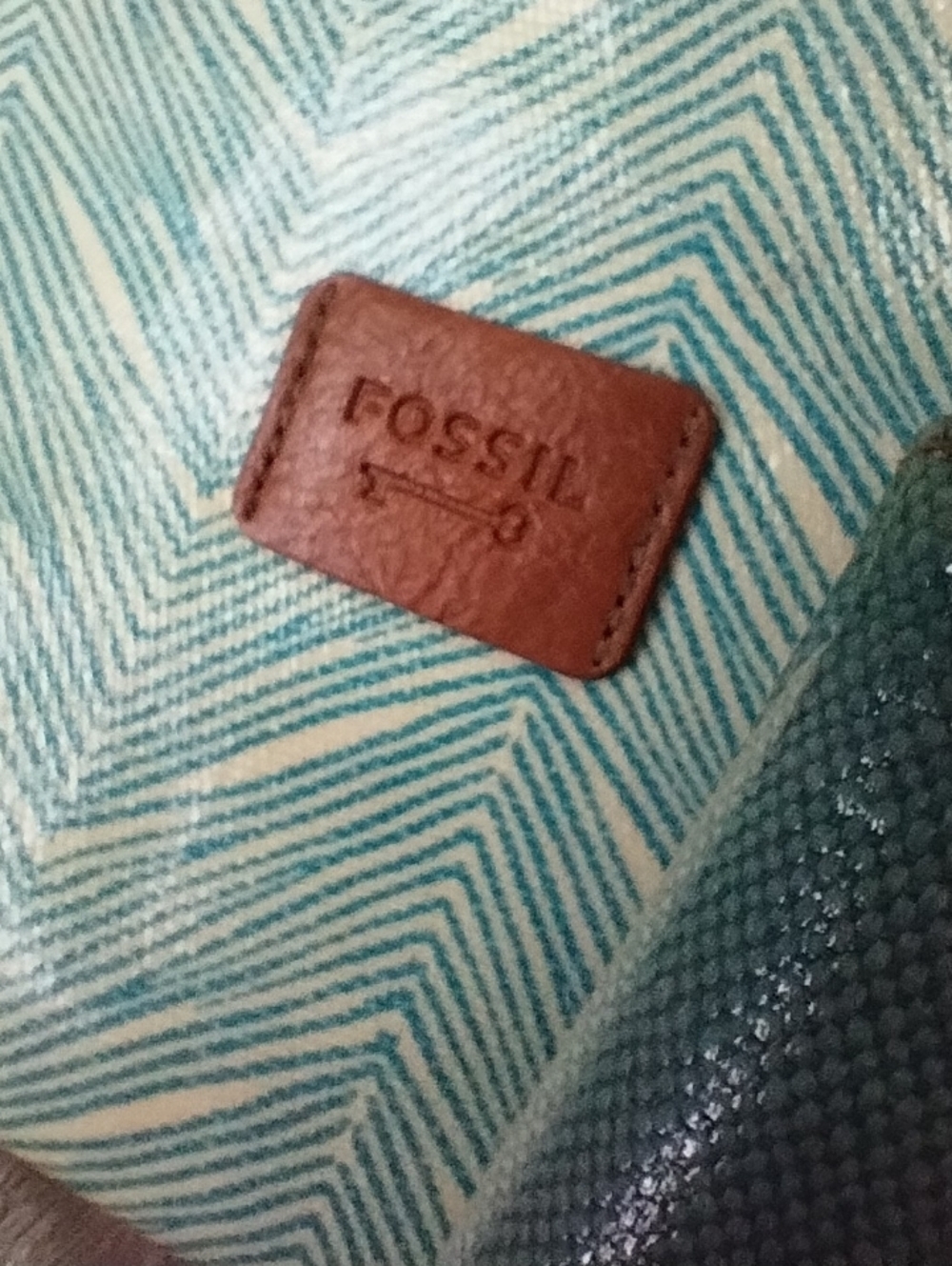 🗝️ Fossil - Picture 10 of 15